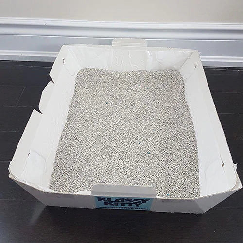 How to Maintain Your Kitten's Litter Box (with Pictures) - wikiHow